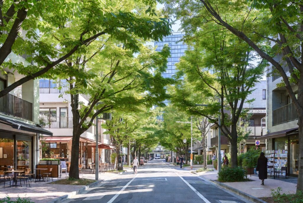 教育環境と利便性が高い札幌市中央区のクリーンな街並み